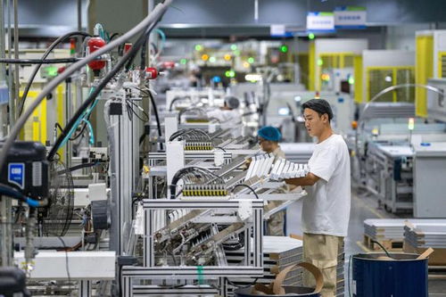 第四季度經濟金融展望 技術服務驅動恢復向好趨勢不變